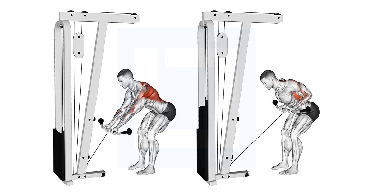Cable Bent Over Reverse Grip Row