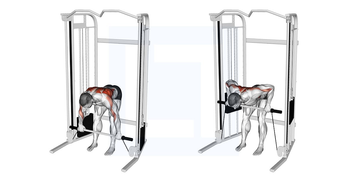 Cable Bent Over Row with Bar
