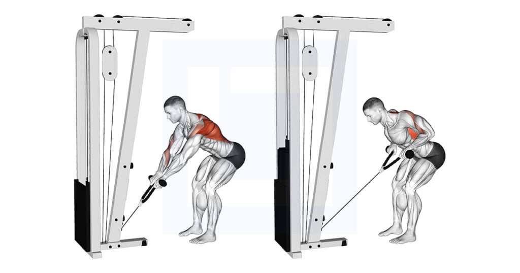 Cable Bent Over Row With Rope Attachment