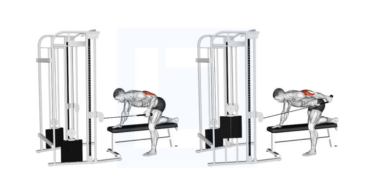 Cable Single Arm Kickback with Rope