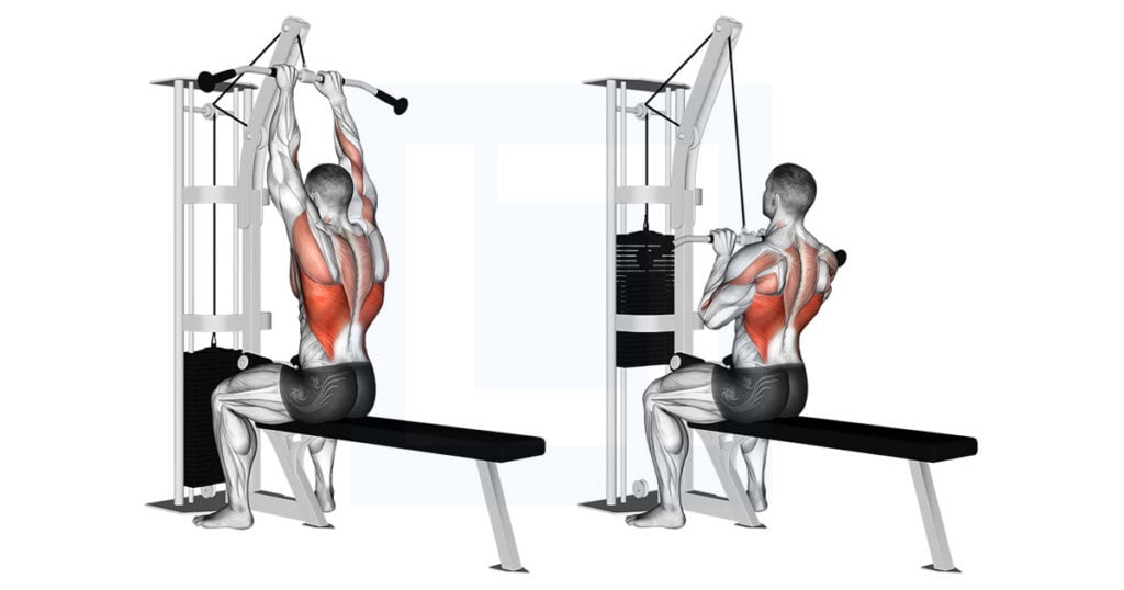 Cable Close Grip Front Lat Pulldown