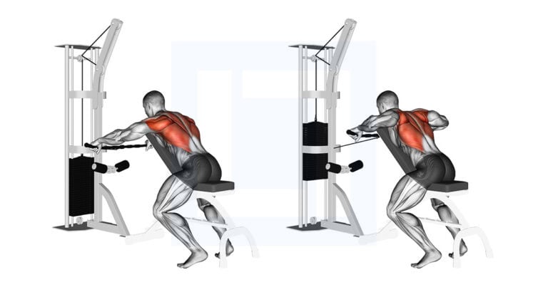 Cable Decline Seated Wide Grip Row: Upper Back