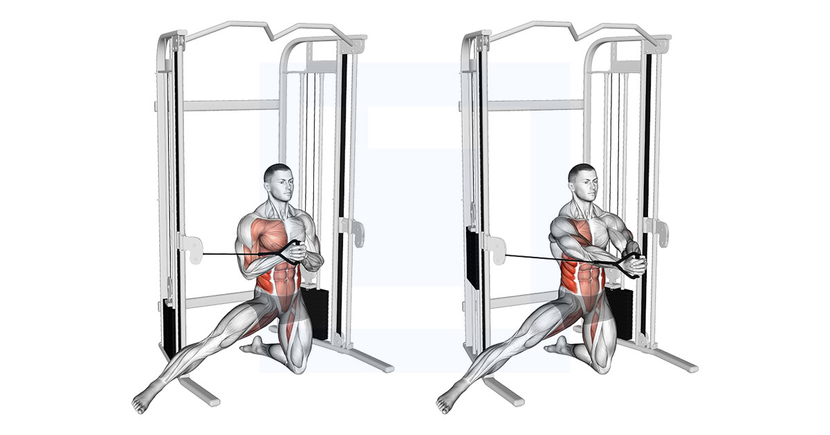 Cable Half Kneeling Adductor Pallof Press
