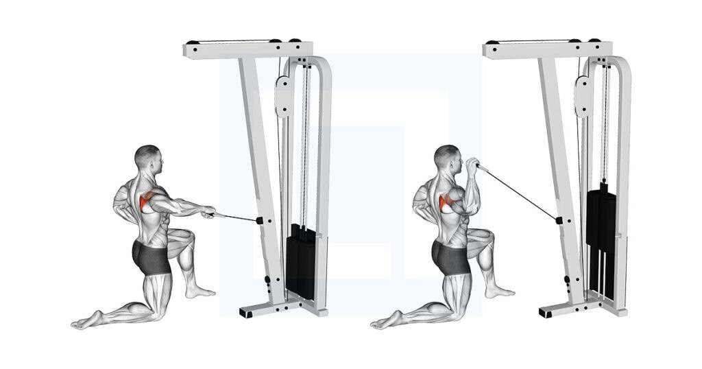 Cable Half Kneeling External Rotation