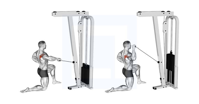 Cable Half Kneeling External Rotation