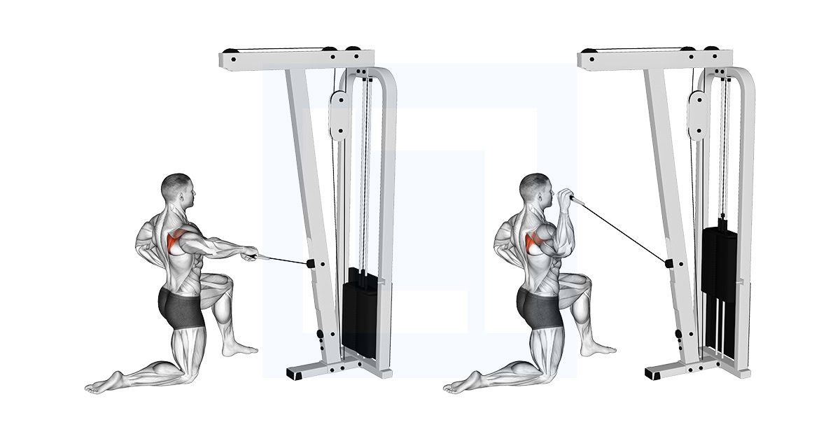 Cable Half Kneeling External Rotation