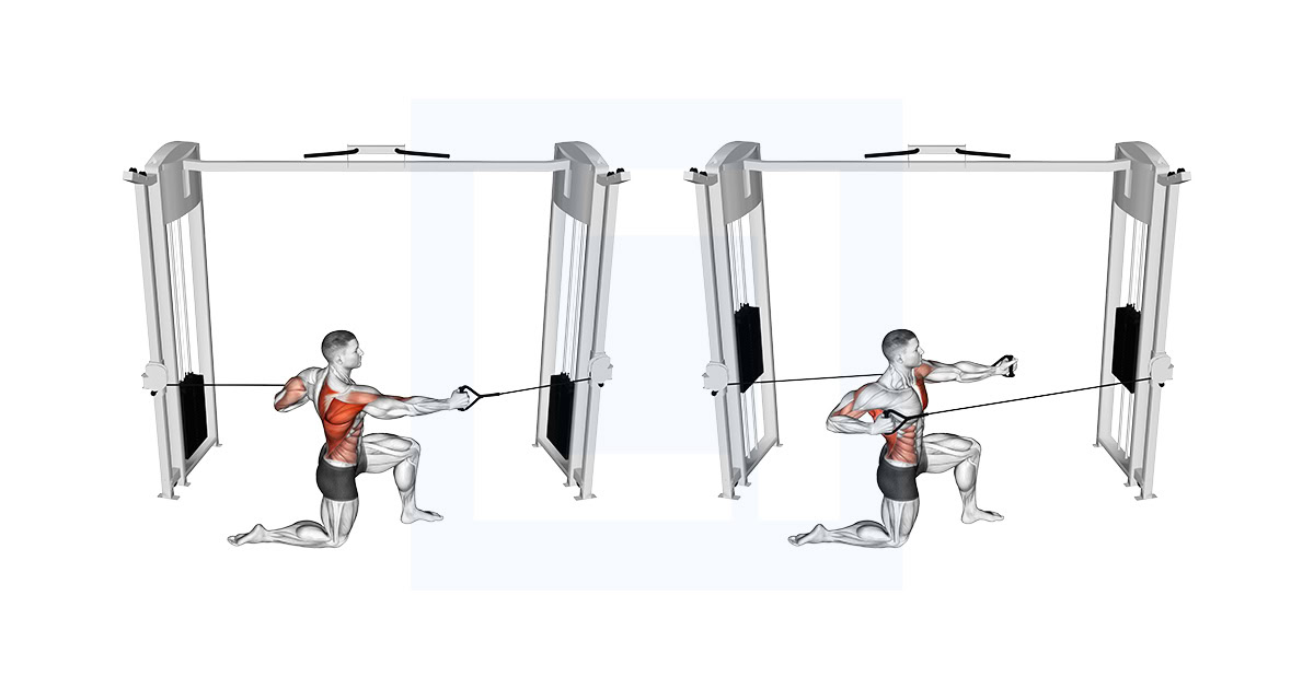 Cable Half Kneeling Push Pull