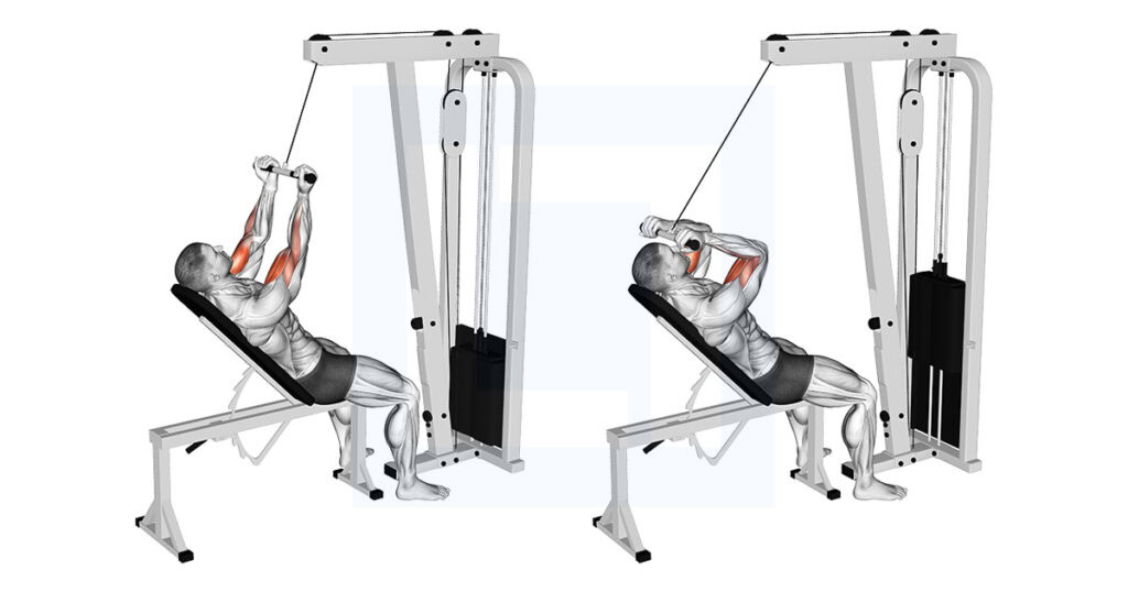 Cable Incline Close Grip Curl: Long Head Builder