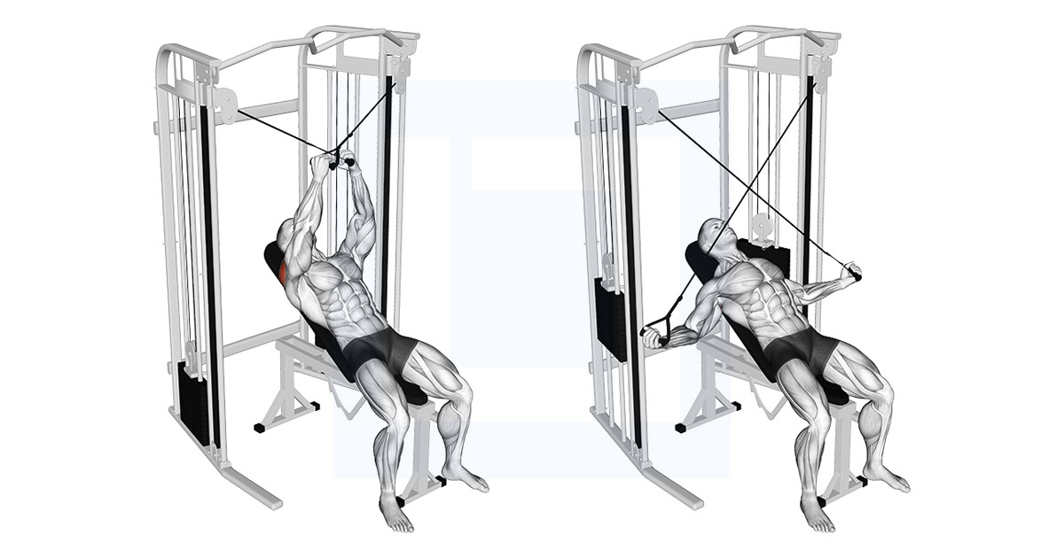 Cable Incline Cross Rear Fly