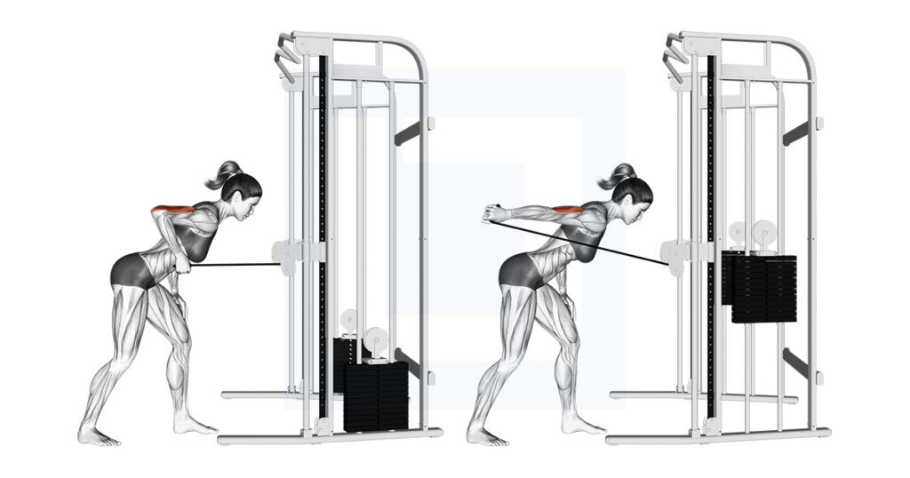 Kickback Cable Kickback II: Cable Tricep Variation