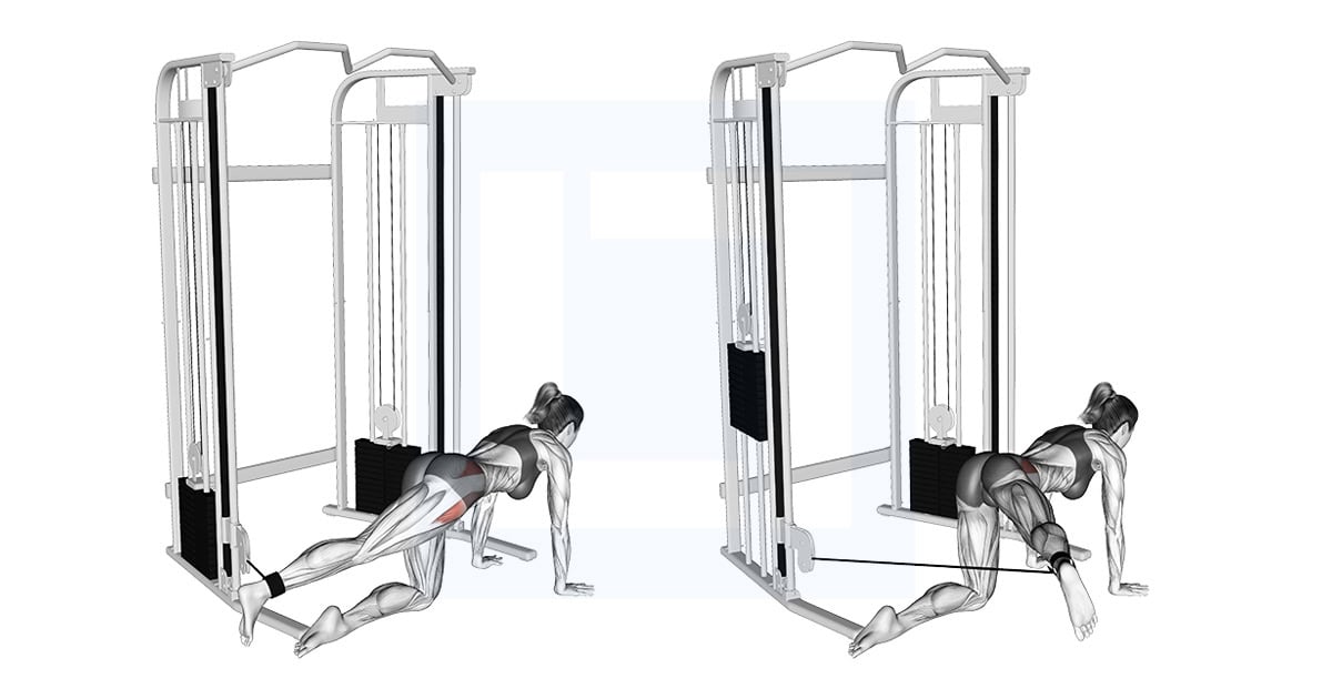 Cable Kneeling Hip Abduction