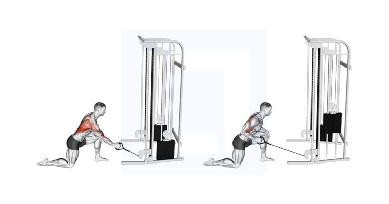 Cable Kneeling Single Arm Row