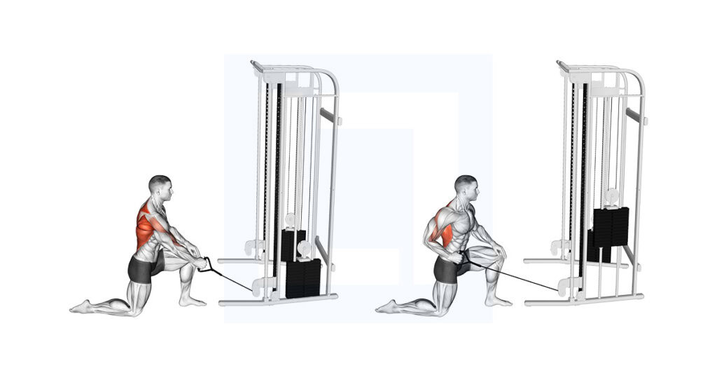 Cable Kneeling One Arm Row: Single Arm Lat Row