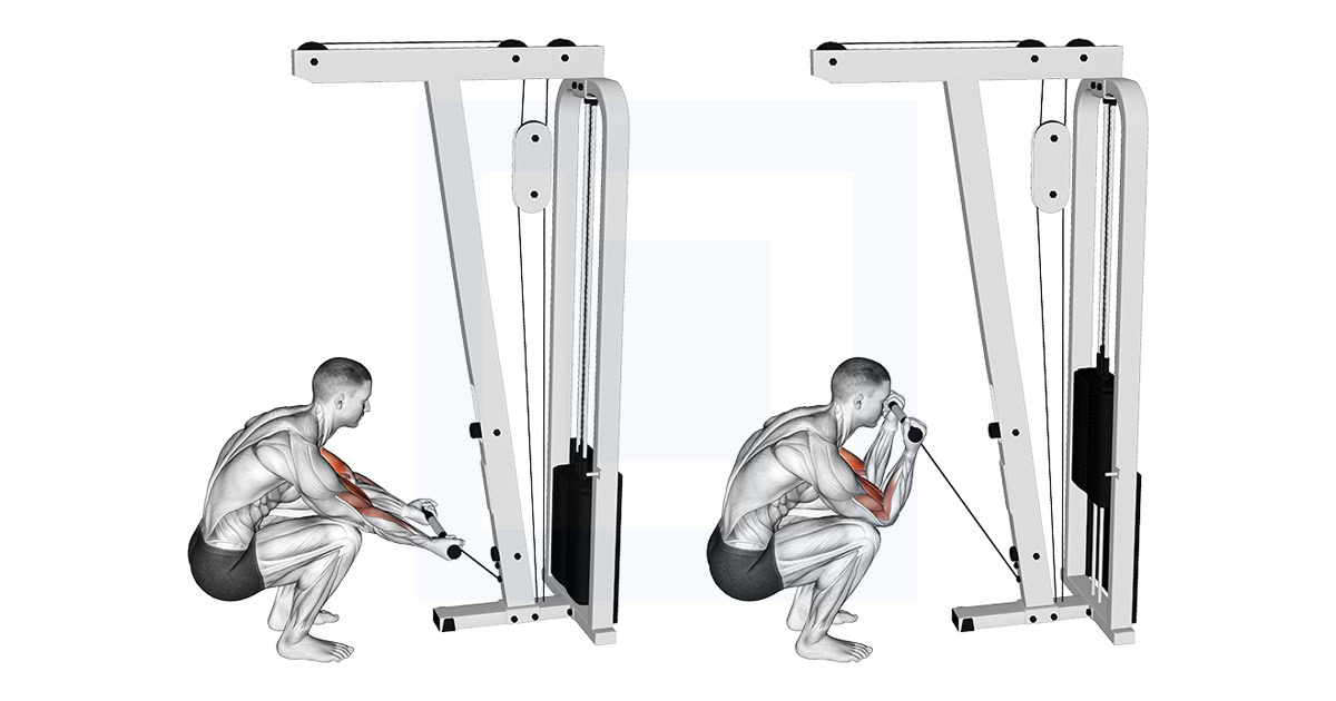 Cable Kneeling Preacher Curl