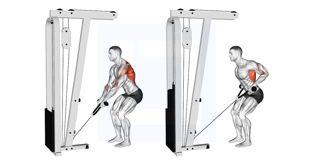 Cable Low Row with Rope Attachment