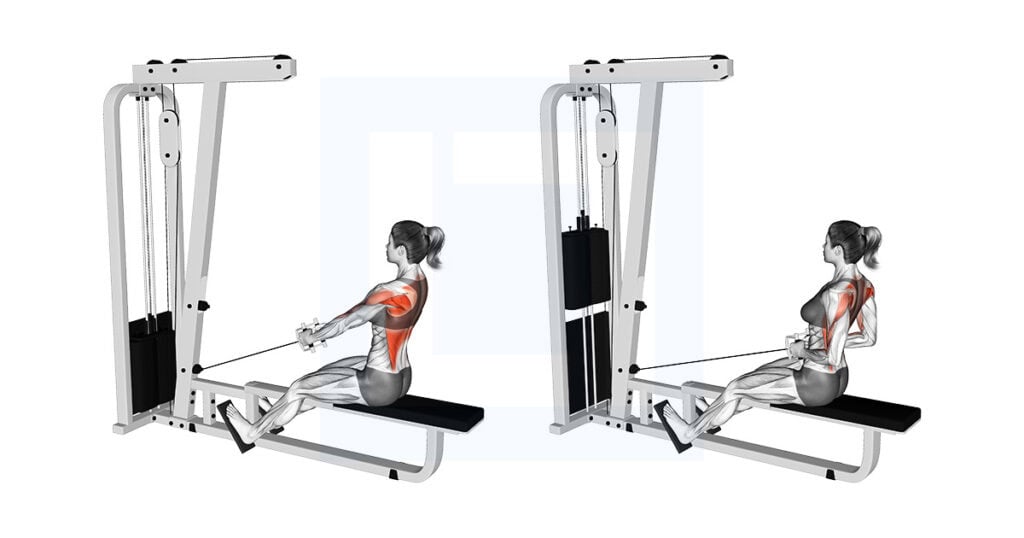 Cable Low Seated Row With V Bar