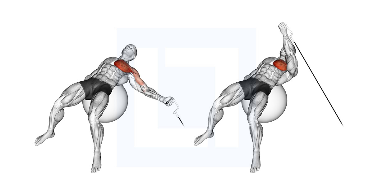 Cable One Arm Fly on Exercise Ball