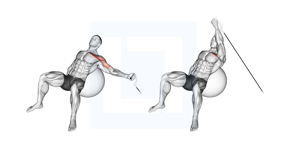 Cable One Arm Incline Fly on Exercise Ball