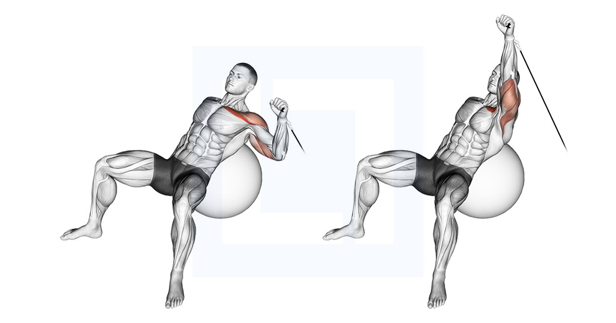 Cable One Arm Incline Press on Exercise Ball
