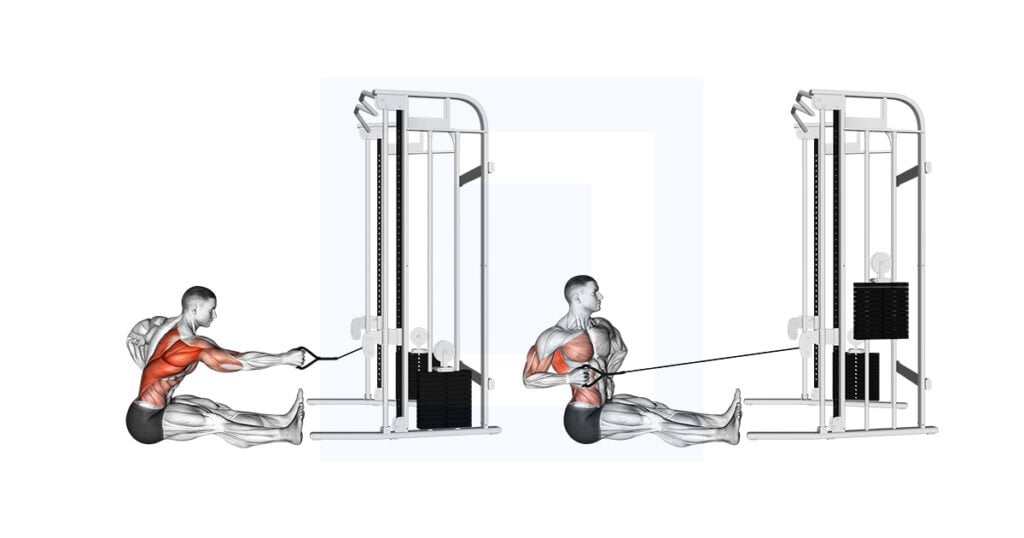 Cable One Arm Rowing Cable One Arm Twisting Seated Row: Rotational Row