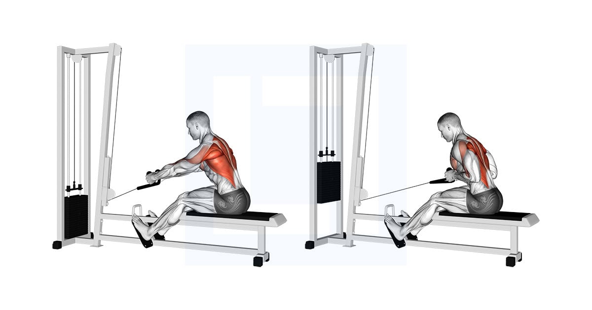 Cable Rope Elevated Seated Row