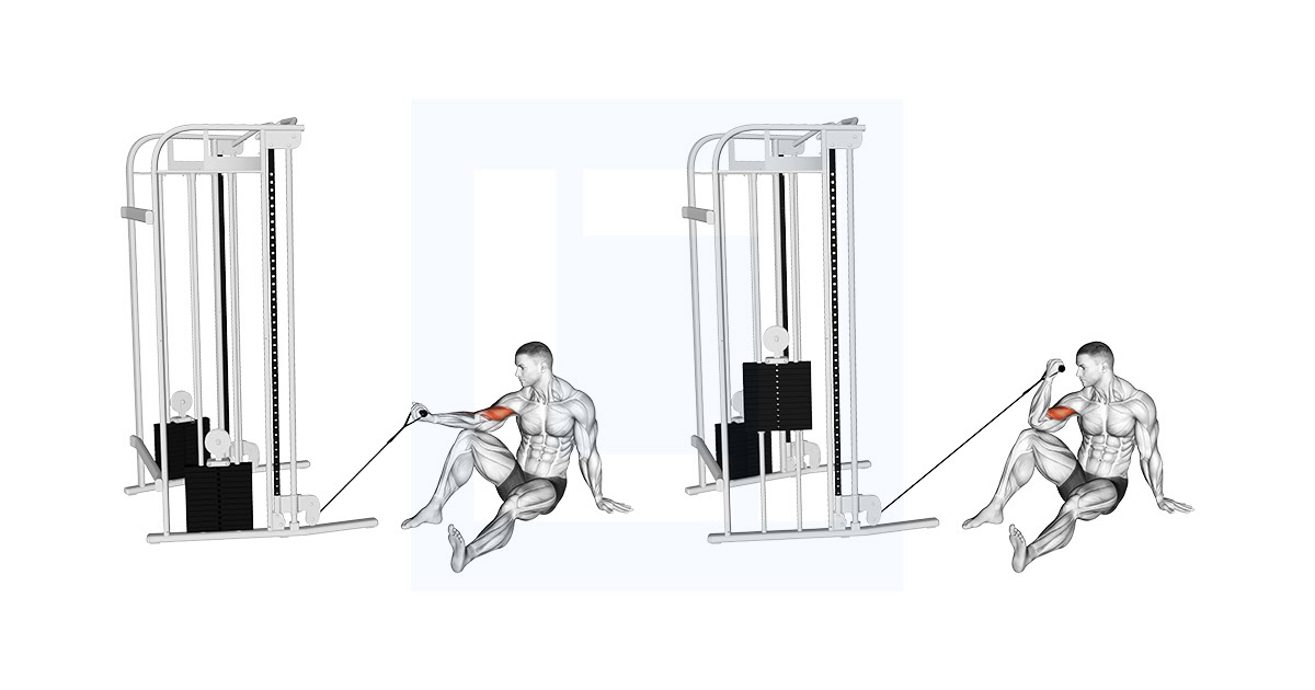 Cable Seated Floor One Arm Concentration Curl