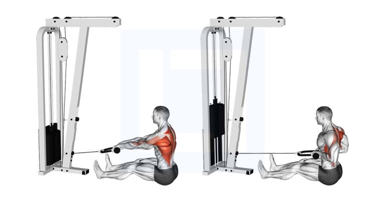 Cable Seated on Floor Row with Rope Exercise Guide