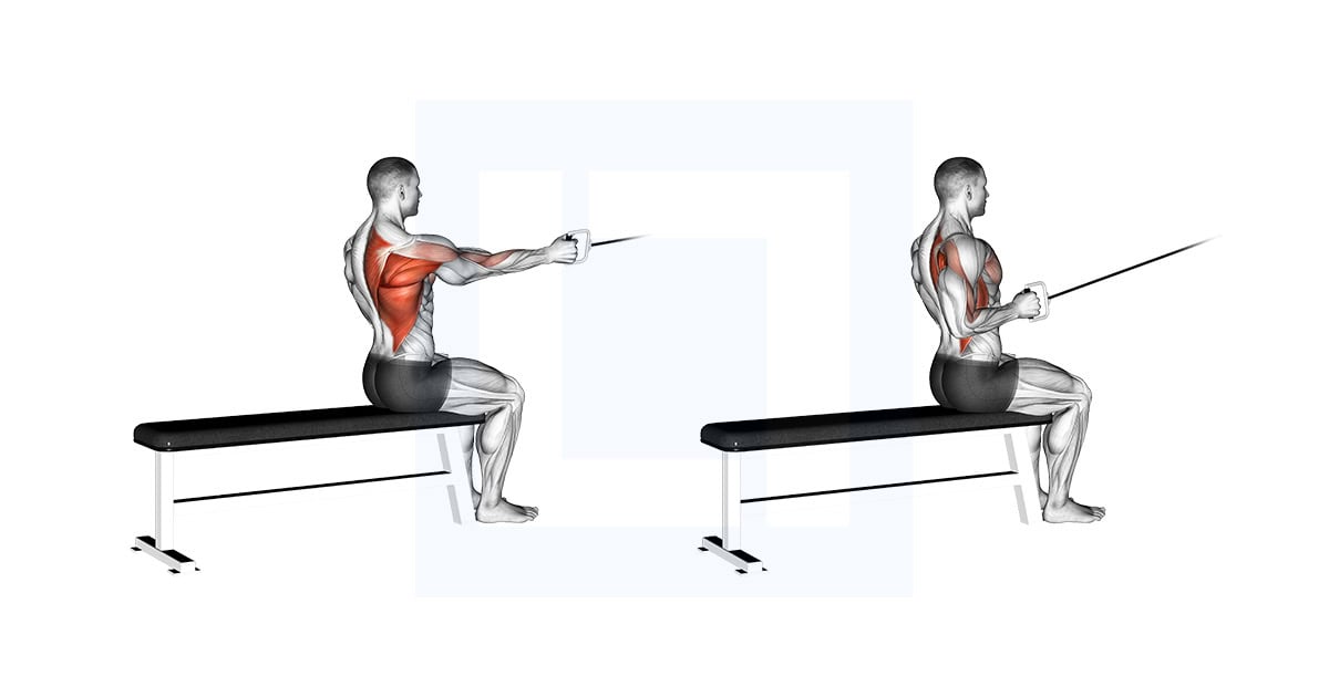 Cable Seated One Arm Alternate Row