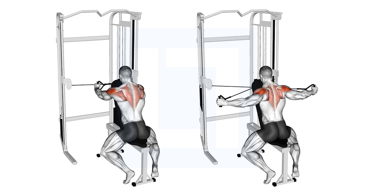 Cable Seated Rear Delt Fly with Chest Support