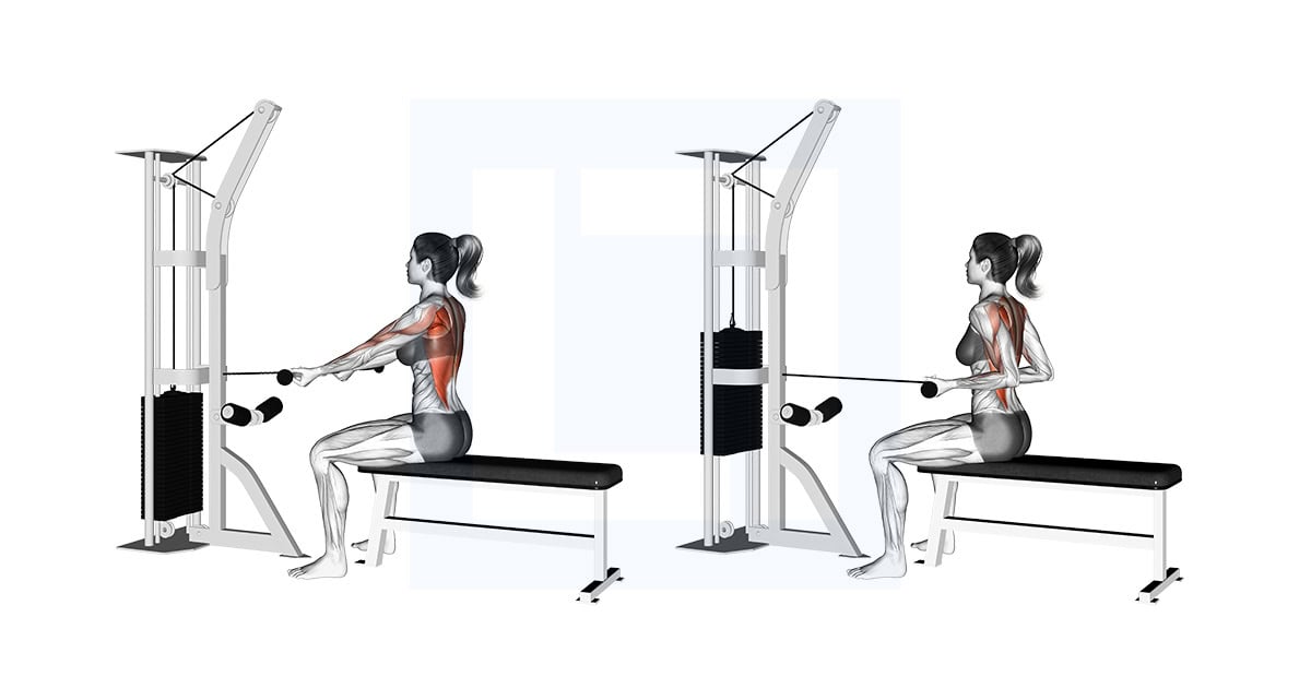 Cable Seated Supine Grip Row