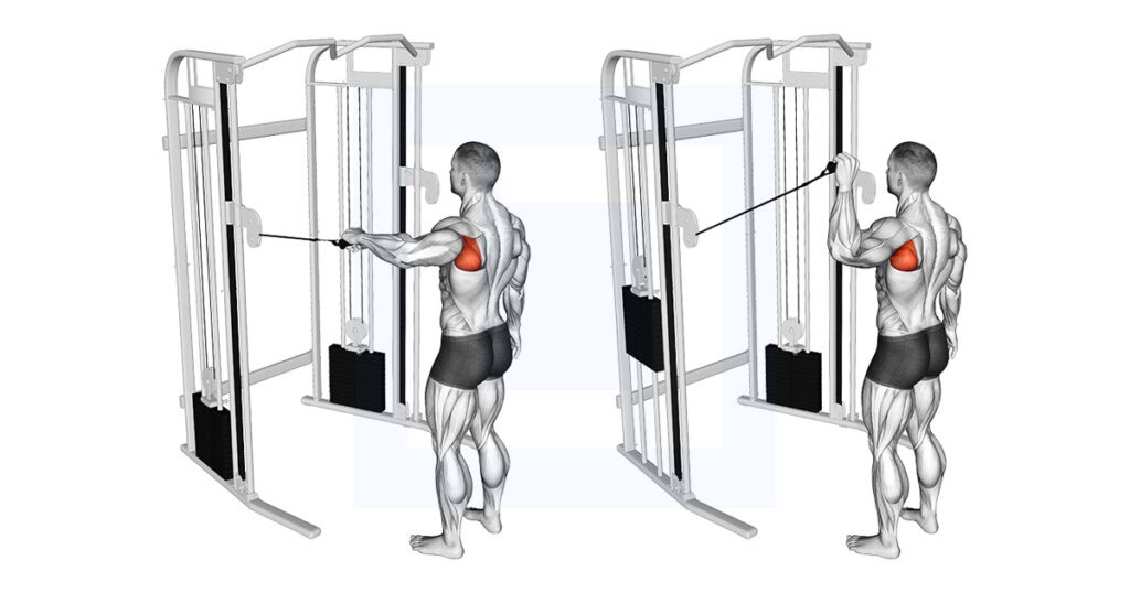 Cable Shoulder 90 Degrees External Rotation Exercise Guide