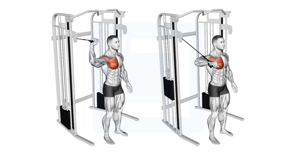 Cable Shoulder 90 Degrees Internal Rotation Exercise Guide