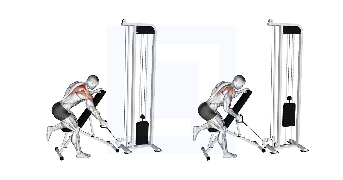 Cable Single Arm Low Scapular Row