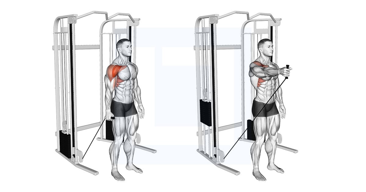 Cable Single Arm Neutral Grip Front Raise