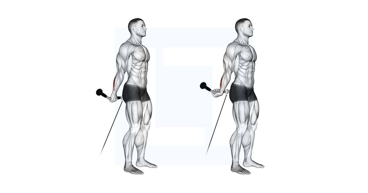 Cable Standing Back Wrist Curl