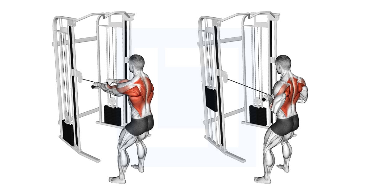 Cable Standing Close Grip Row
