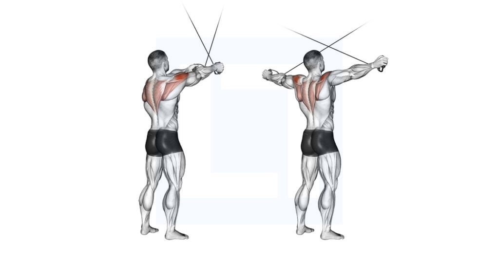 Cable High Reverse Fly Crossover