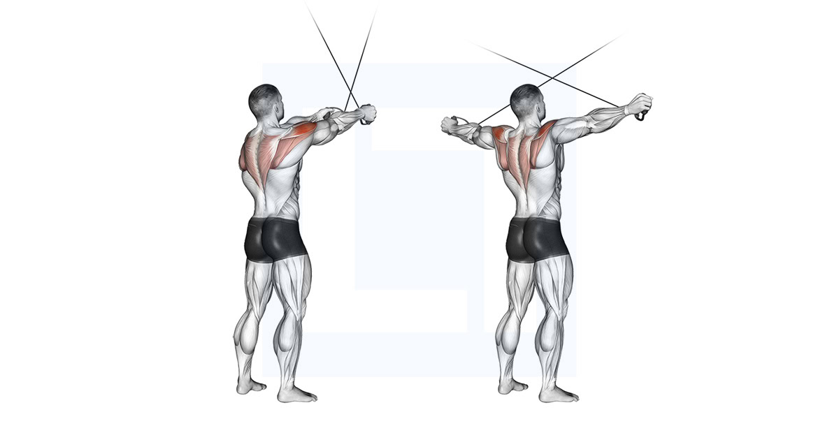 Cable Standing Cross Over High Reverse Fly