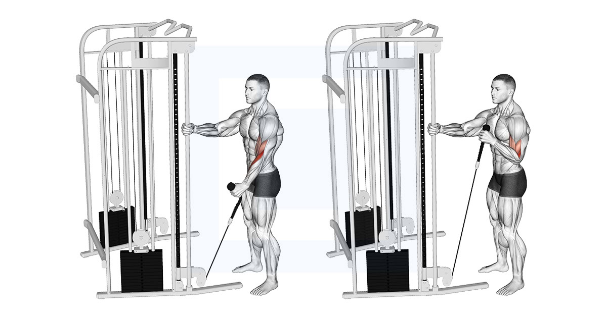 Cable Standing One Arm Hammer Curl with Rope Attachment