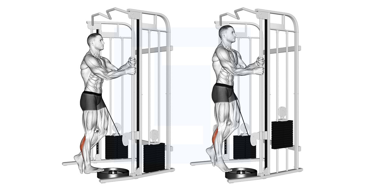 Cable Standing One Leg Calf Raise