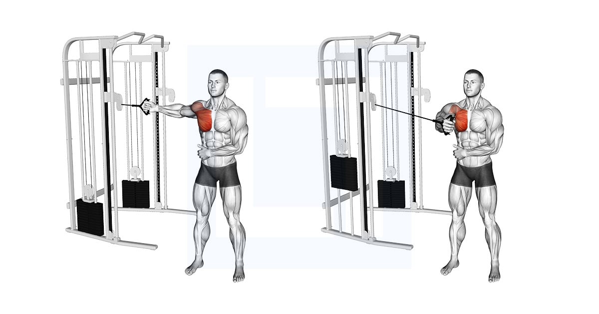 Cable Standing Single Arm Fly