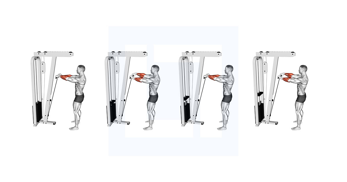 Cable Standing Wrist Roll