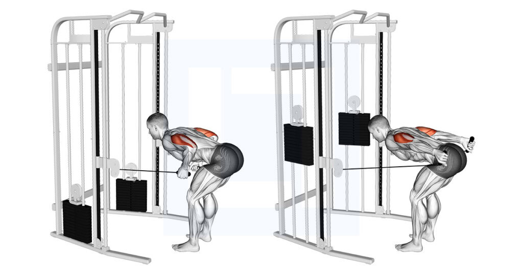 Kickback Cable Two Arm Tricep Kickback