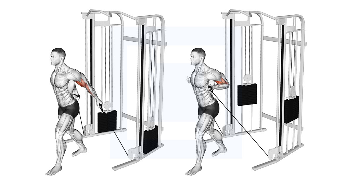 Cable Unilateral Bicep Curl
