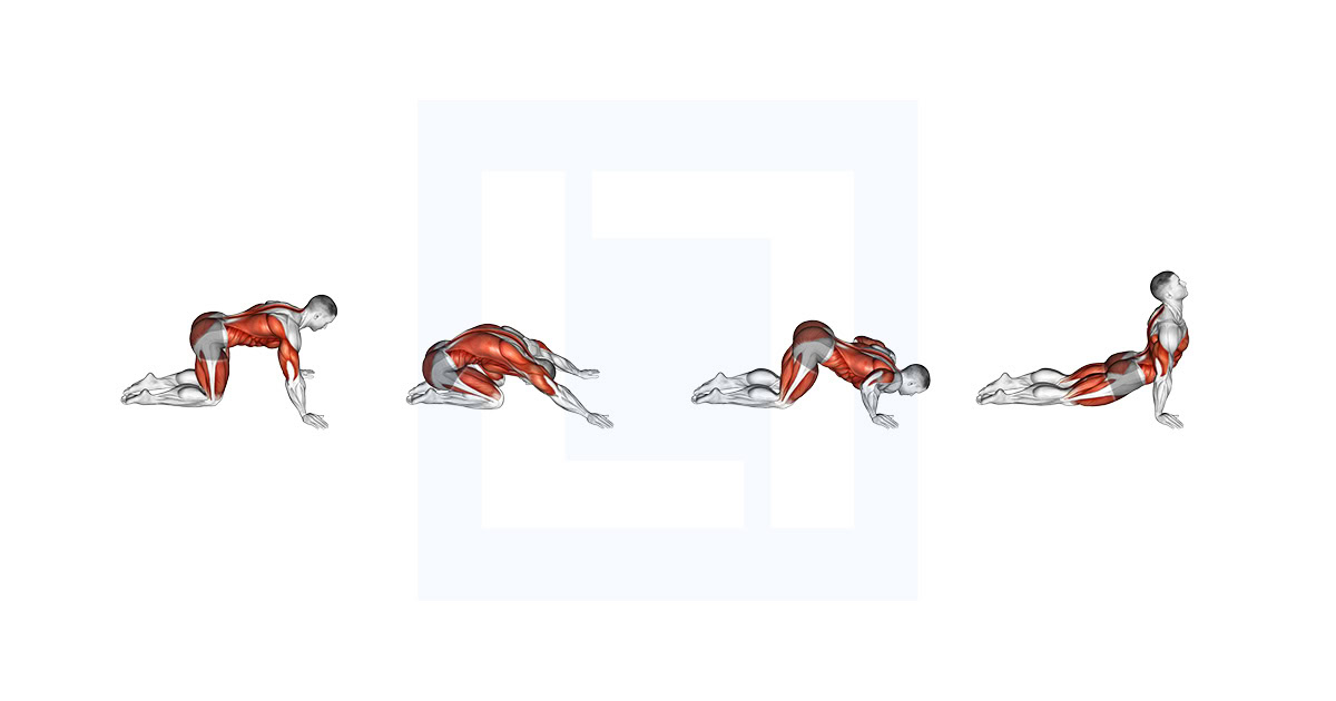 Child to Cobra Pose