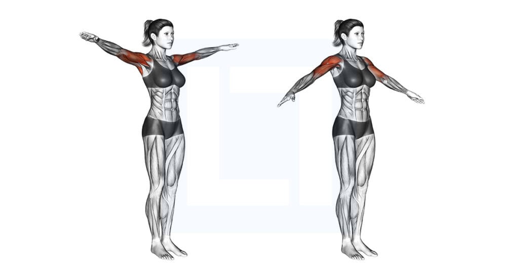 Arm Circles