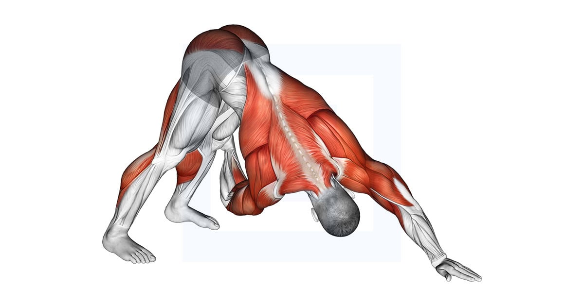 Downward Facing Dog Spine Mobility