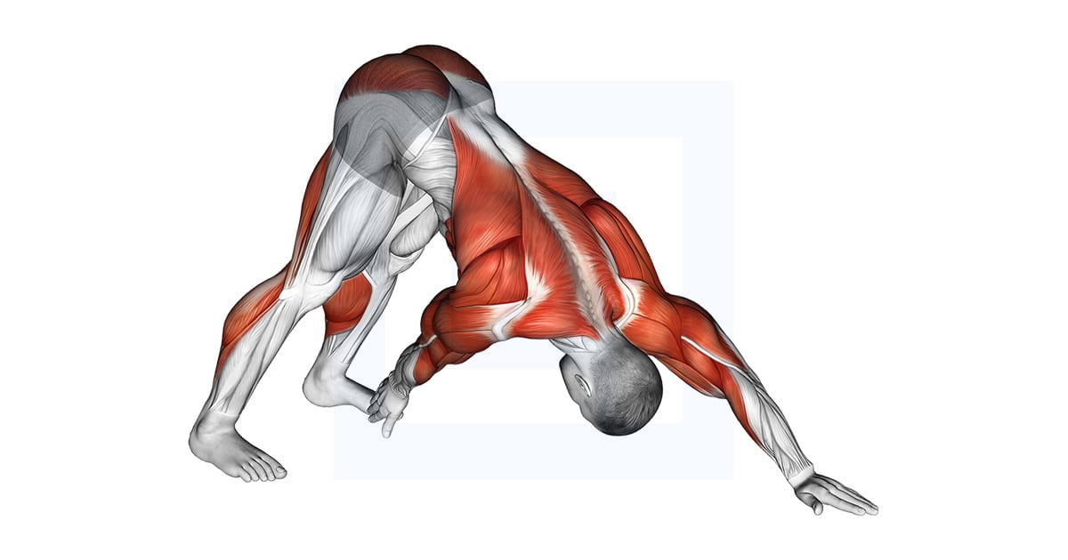 Downward Facing Dog Toe Touch