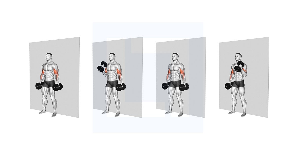 Dumbbell Alternate Hammer Strict Curl