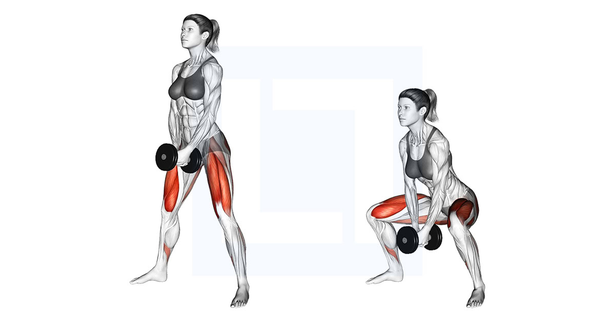 Dumbbell Bar Grip Sumo Squat